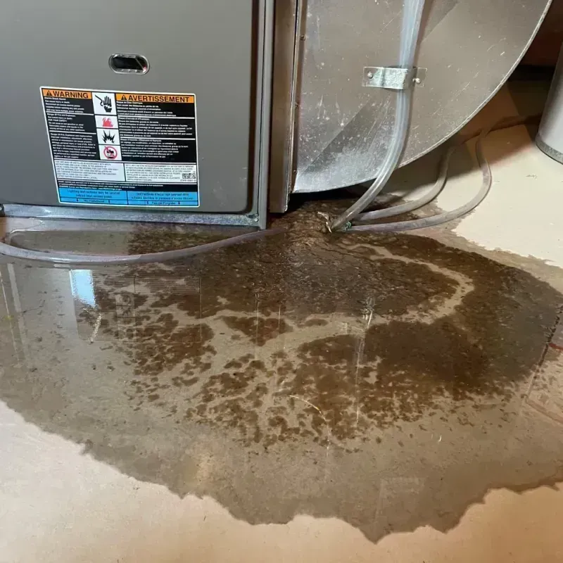 Appliance Leak Cleanup in Lyon County, KY